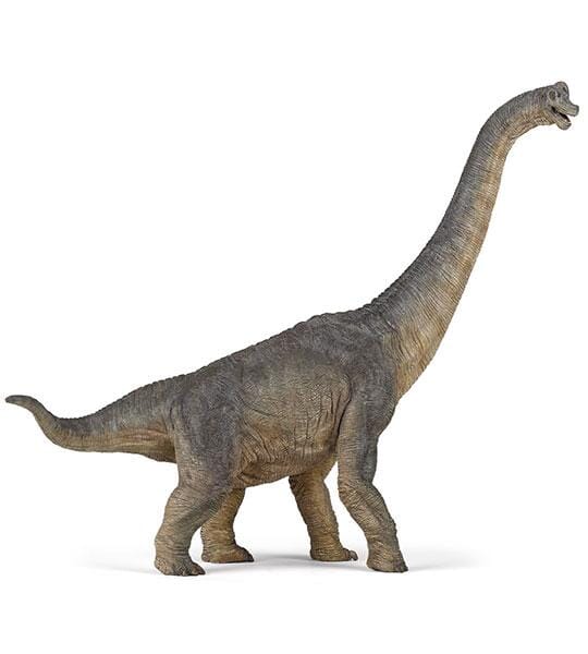 Brachiosaurus Figure